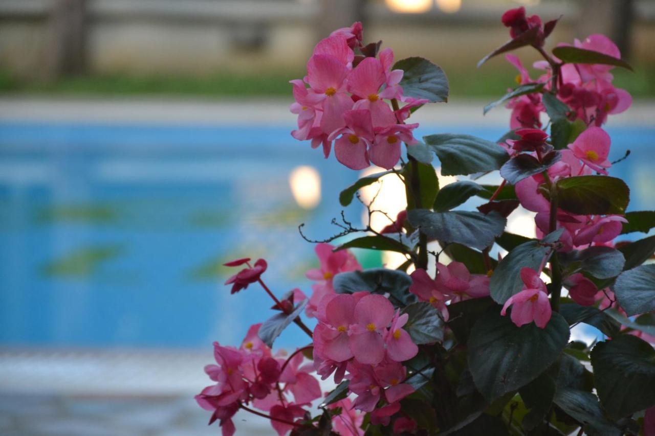 Corfu Hellinis קאנוני